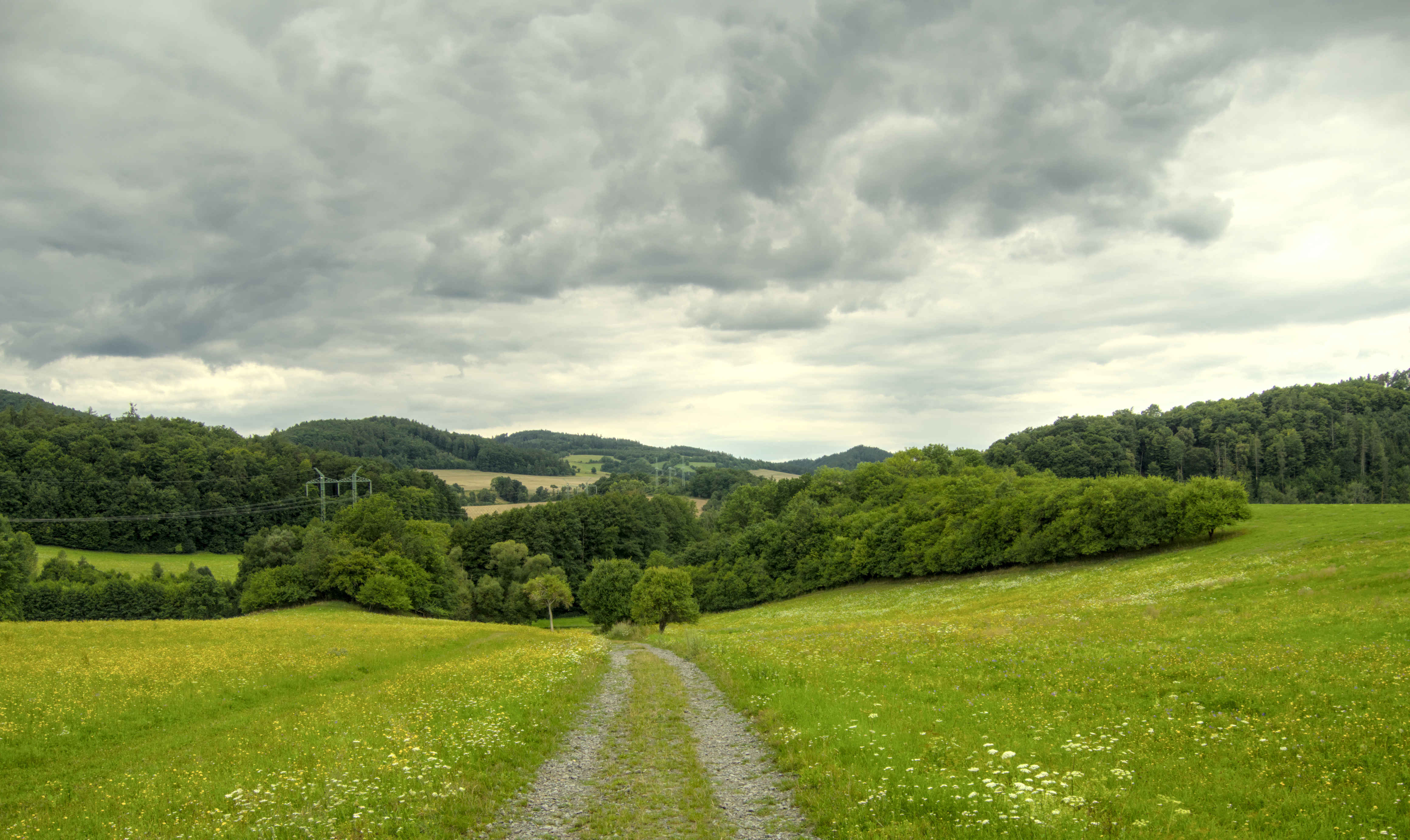 Hills covered in leafy forests surrounding a beautiful valley